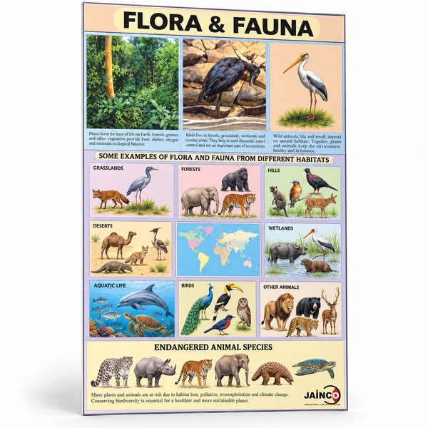 Flora and Fauna Chart